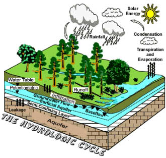 The Hydrologic Cycle