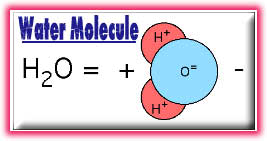 Water Molecule